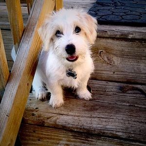 Meet your Posher, Madelyn